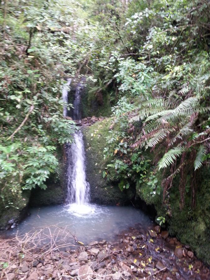 Kotare Ridge Bed and Breakfast Waihi Buitenkant foto