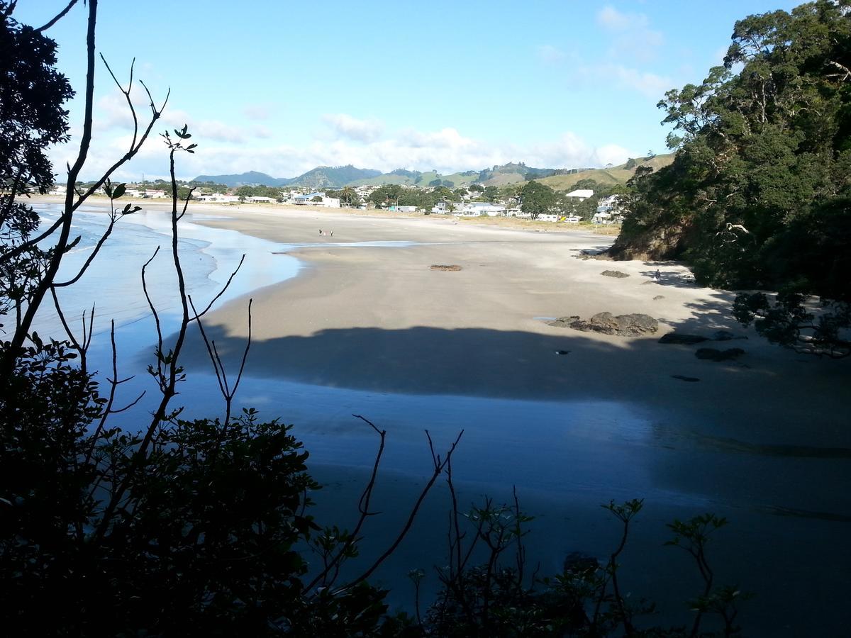 Kotare Ridge Bed and Breakfast Waihi Buitenkant foto